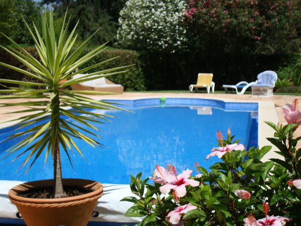 Pool Terrace Renovation in Antioch