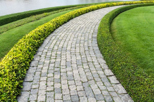 Sidewalk Pavers Installation in Antioch